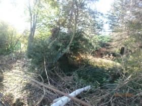 inşaat alanı İcra ihalesi 'de Wiener Neustadt, Avusturya