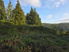 inşaat alanı İcra ihalesi 'de Riedanleiten, Avusturya