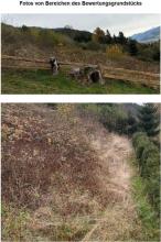 terreno edificabile Asta giudiziaria a Aisdorf, Austria