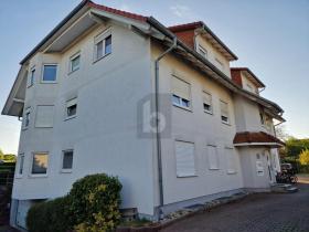 Lapos Eladó a  oldalon. Walldürn-Altheim, Németország